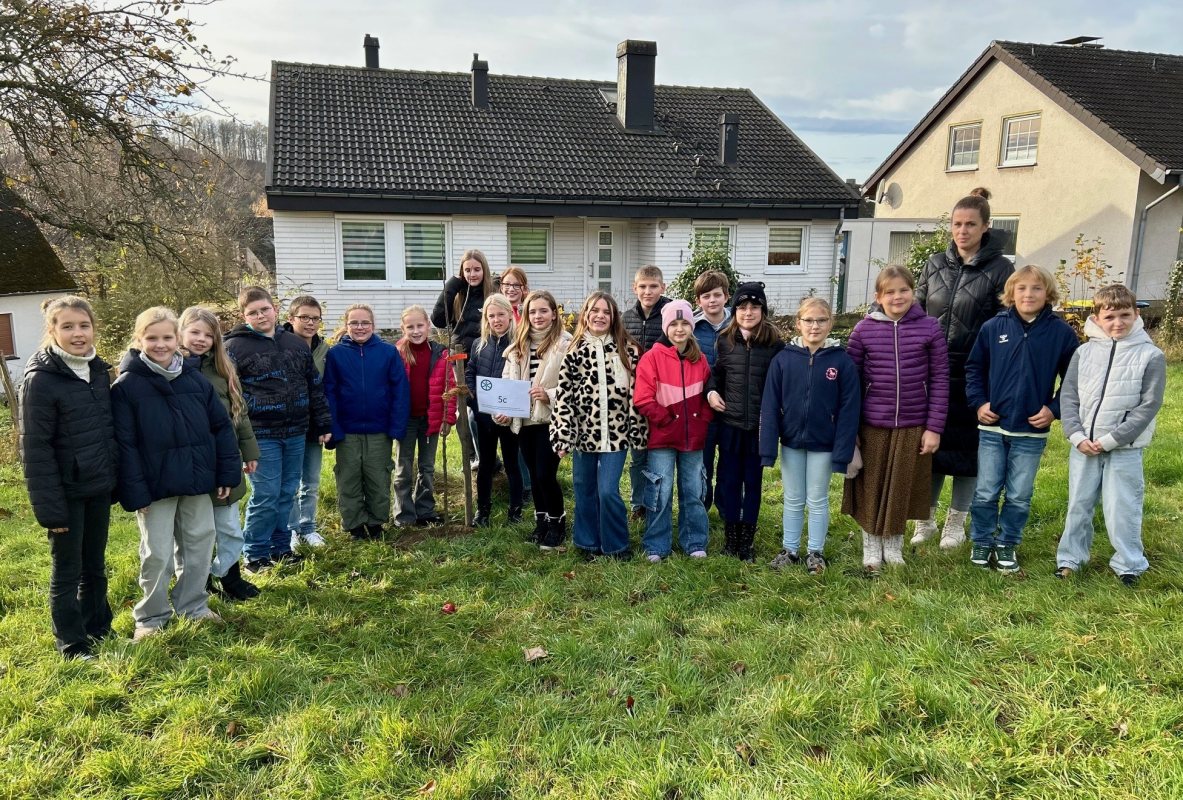 2025 11 24 Klassenbaum3